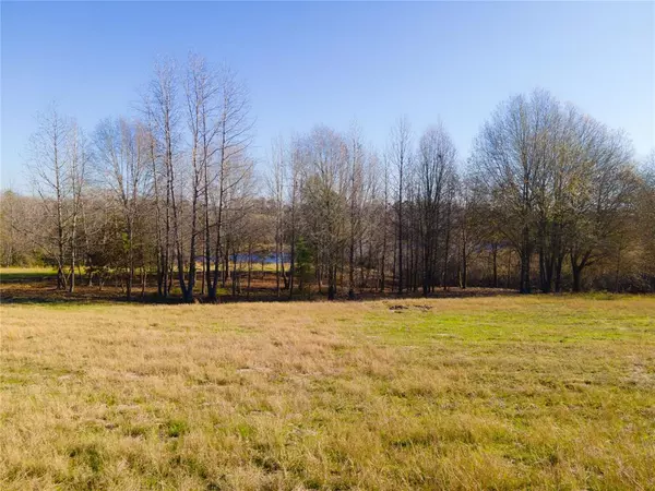 Winnsboro, TX 75494,1040 County Road 3590 LOT 2