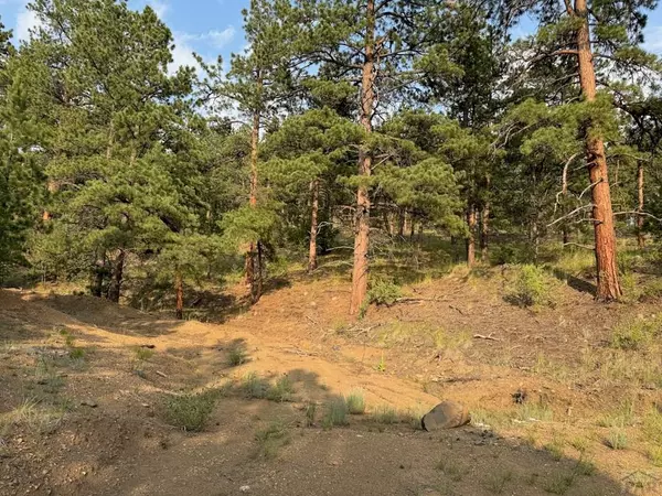 Silver Cliff, CO 81252,302 Oak Rd