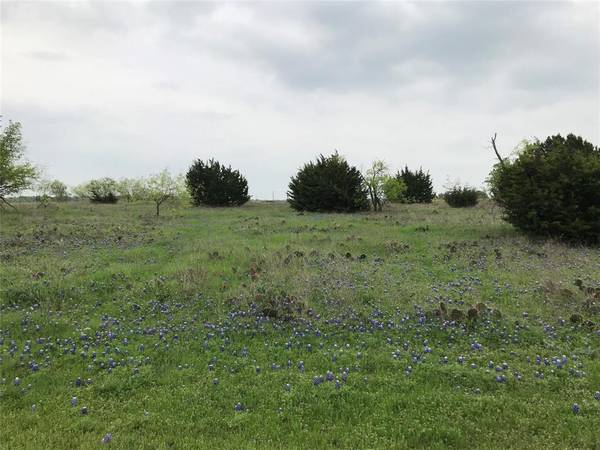 34020 Stonewood Drive, Whitney, TX 76692