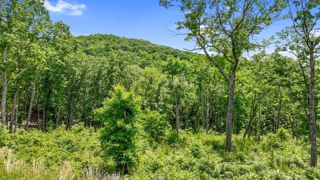 Ellijay, GA 30540,lot 14 High Summit Drive