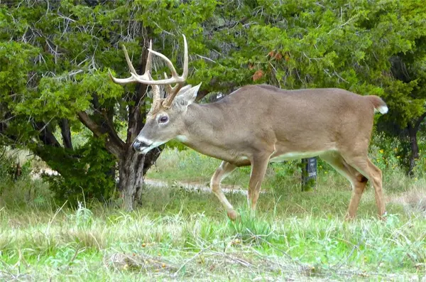 Possum Kingdom Lake, TX 76449,Lot 297 Shooting Star Court