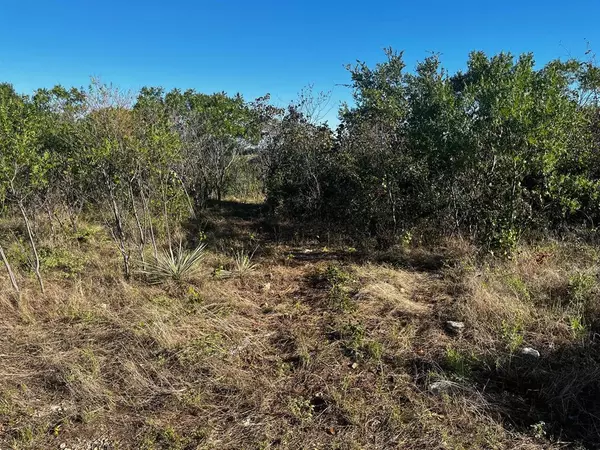 Possum Kingdom Lake, TX 76449,Lot 297 Shooting Star Court