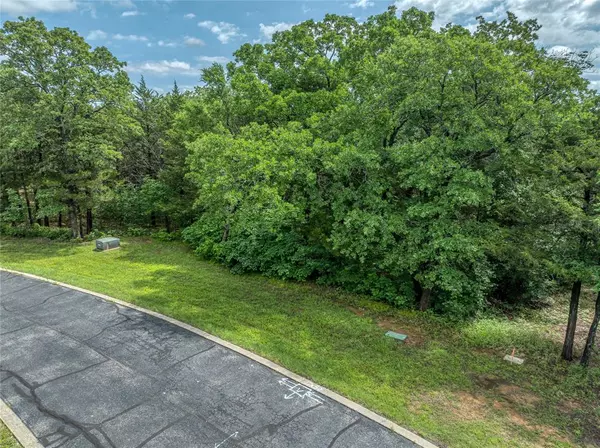 Gordonville, TX 76245,TBD Dove Canyon Drive