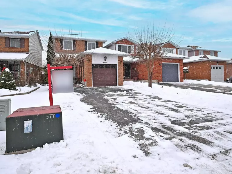 8 Stephensen CT, Brampton, ON L6V 3X8