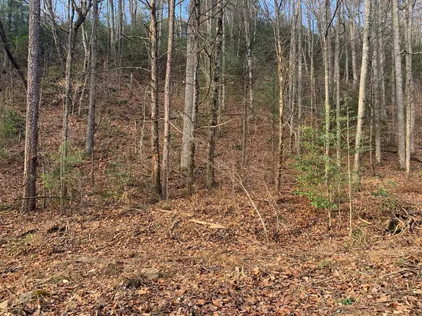 Lot  #76 Ten Pointe Trail, Murphy, NC 28906