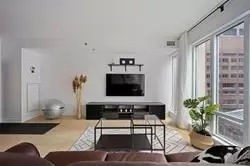 210 Victoria ST S #818, Toronto C08, ON M5B 2R3