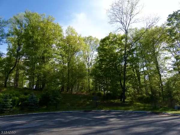 Bernardsville Boro, NJ 07924,8 Preserve Ln