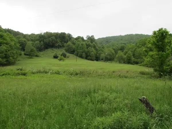 TBD Flat Ridge Rd, Mouth Of Wilson, VA 24363