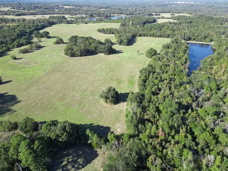 145+/- Acres FM 49, Mineola, TX 75773