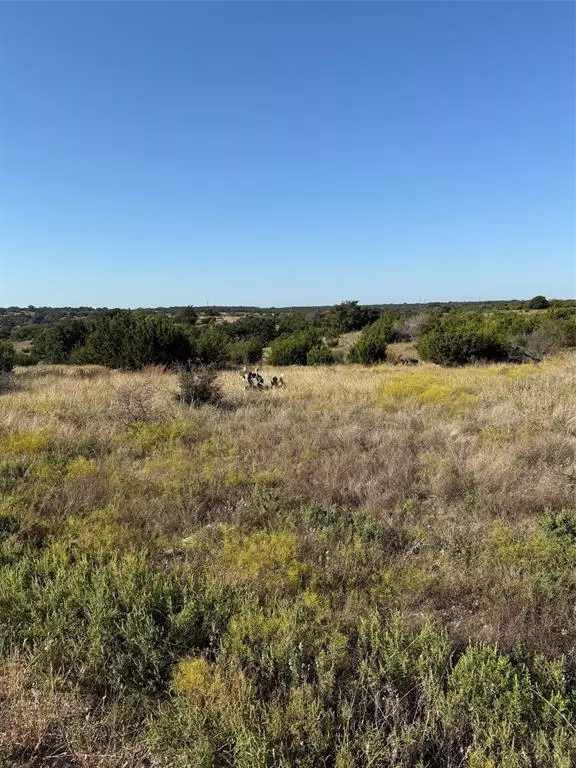 Glen Rose, TX 76043,136 Lot #136 Valley View Ct