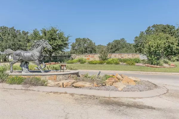 Bowie, TX 76230,Lot 477 Bluffs Avenue