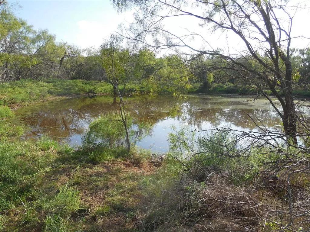 Ranger, TX 76470,TBD County Road 340