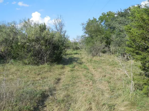 Ranger, TX 76470,TBD County Road 340