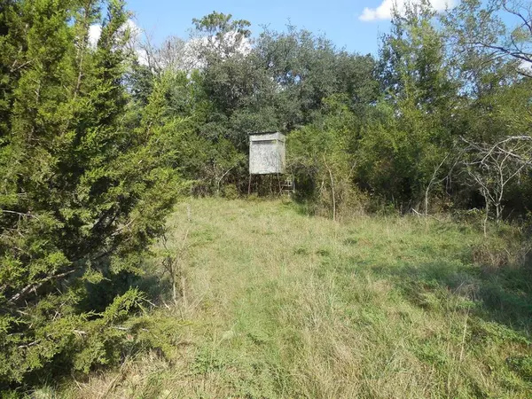 Ranger, TX 76470,TBD County Road 340