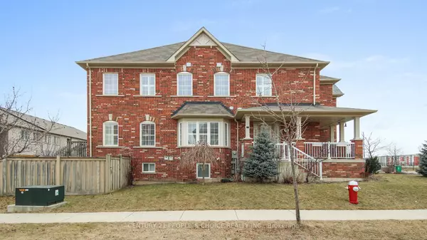 Brampton, ON L6X 0Y5,113 Frenchpark CIR #Lower