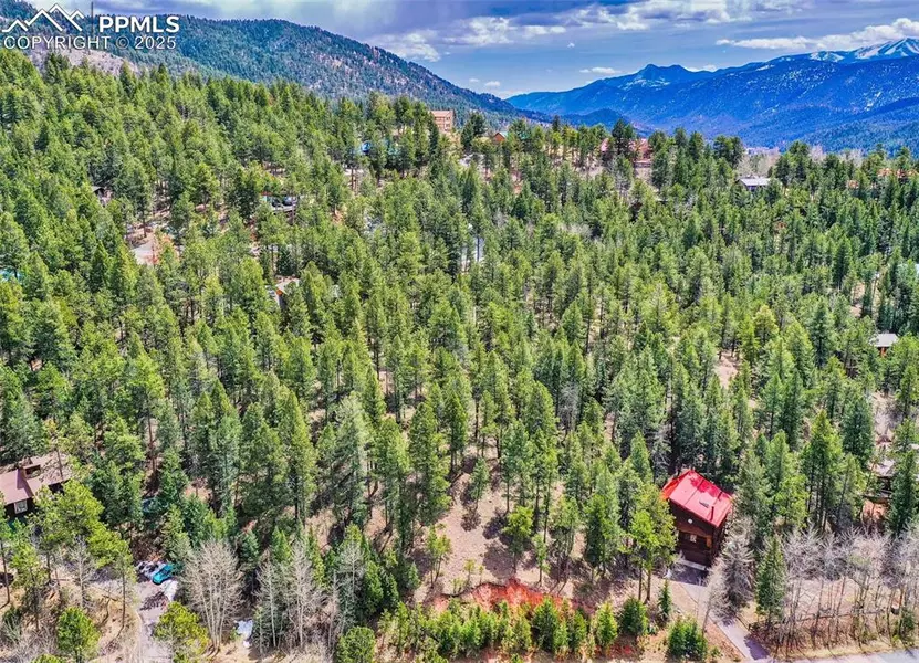 1071 Paradise Valley DR, Woodland Park, CO 80863