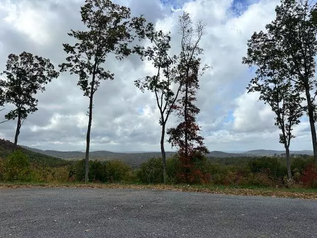 Ellijay, GA 30541,Lot 173 Shagbark Court