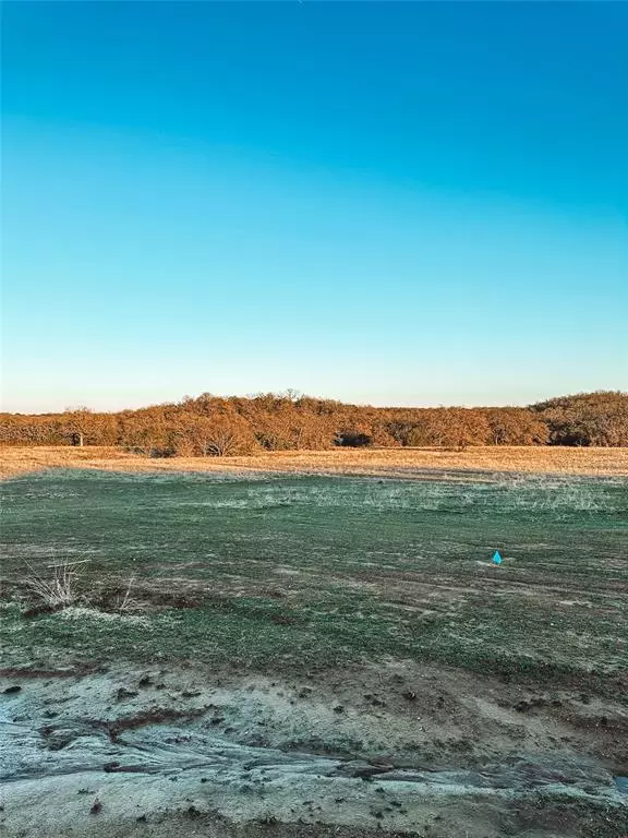 Santo, TX 76067,Lot 10 Dobbs Valley Road