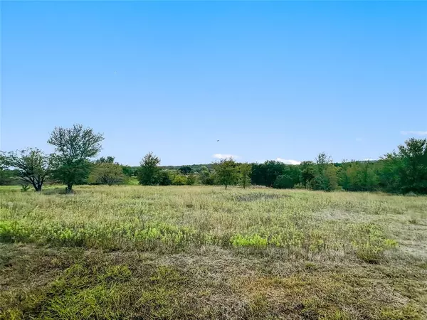 Mineral Wells, TX 76067,00 Brazos Heights Road