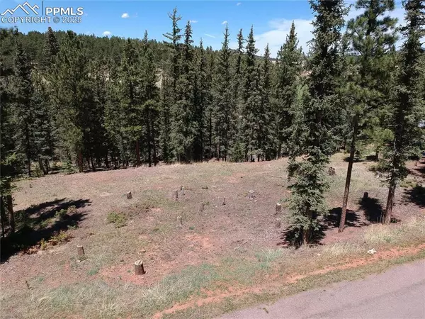 Woodland Park, CO 80863,220 Iron Eagle PT