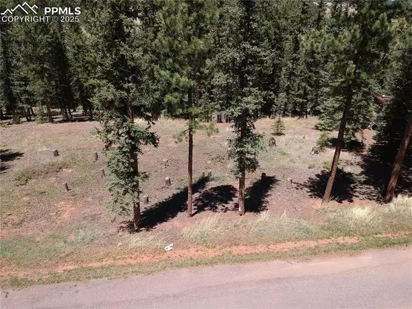 Woodland Park, CO 80863,220 Iron Eagle PT