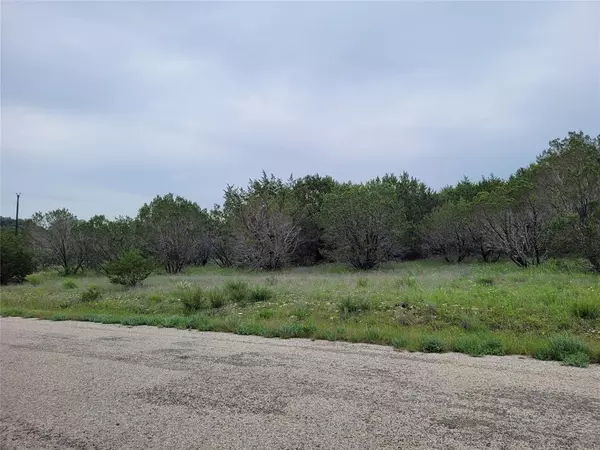 Bluff Dale, TX 76433,520 Lighthouse Drive