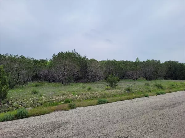 Bluff Dale, TX 76433,520 Lighthouse Drive