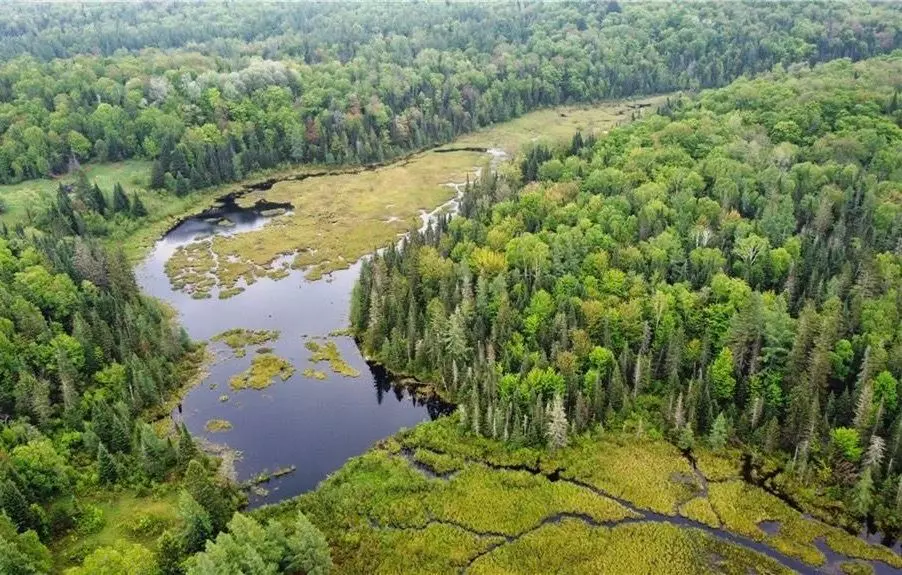 Parry Sound, ON P0A 1Z0,2263 Machar Strong Boundry RD