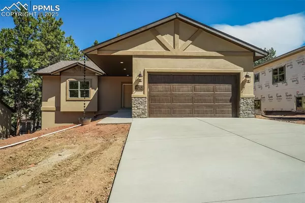 Woodland Park, CO 80863,610 Misty Pines CIR