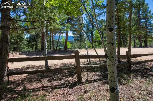 Divide, CO 80814,699 Cottonwood Lake DR