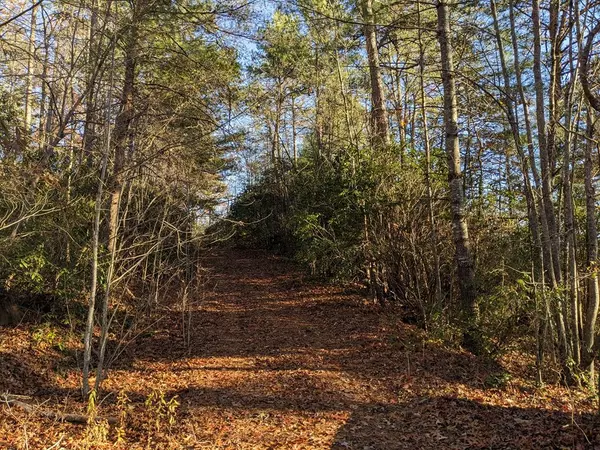 Hayesville, NC 29804,Lot 3 Mission Dam Overlook