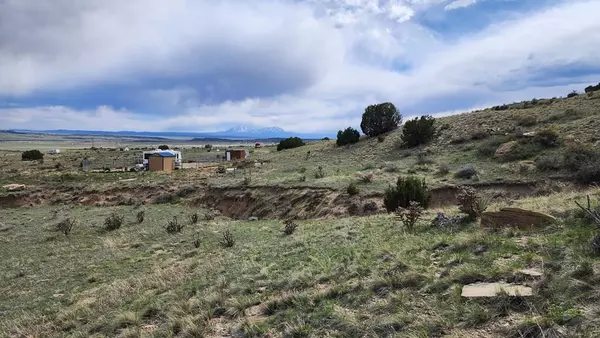 Rye, CO 81069,5895 Old Homestead Ln