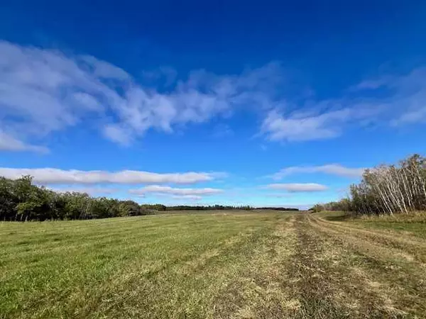 On Township Road 454, Rural Flagstaff County, AB T0B 4C0