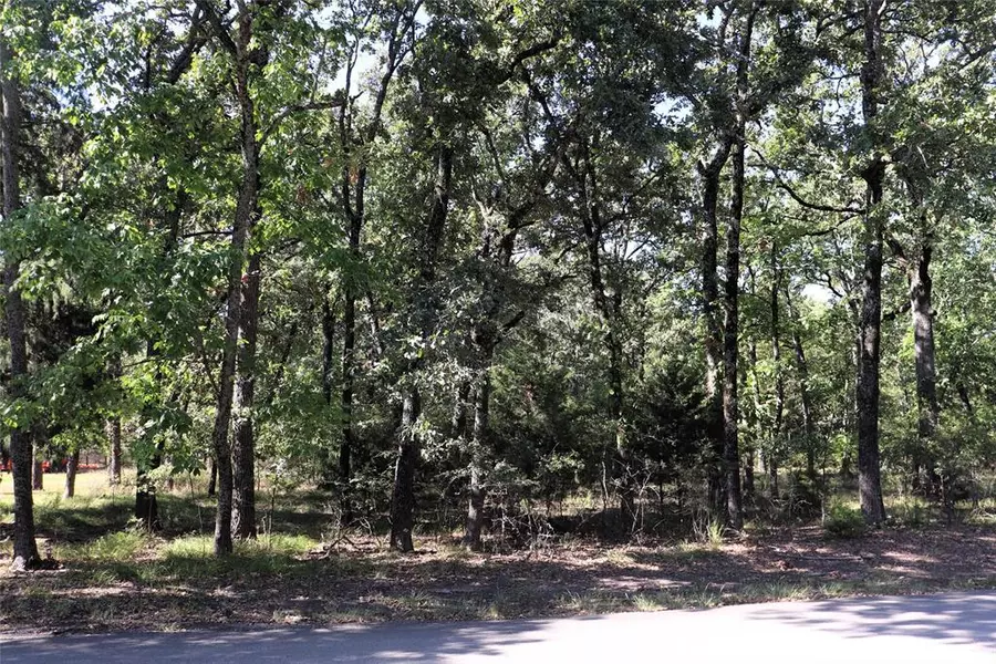 .89Ac Fox Point Road, Quinlan, TX 75474