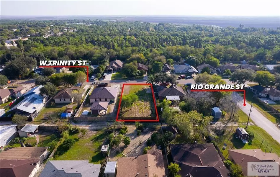 1114 TRINITY, Alamo, TX 78501