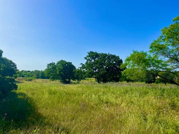 Poolville, TX 76487,Lot 55 KILKENNY Road