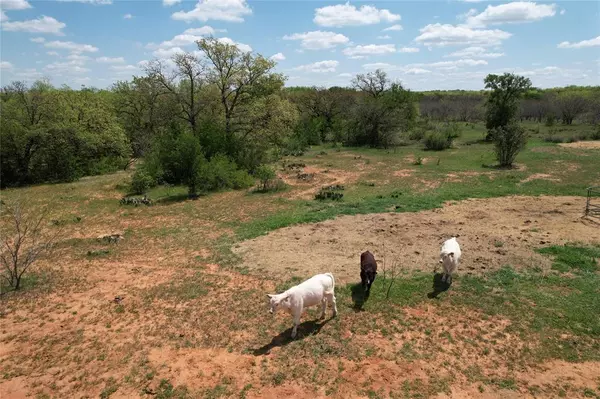 Graham, TX 76450,110 Berry Lane