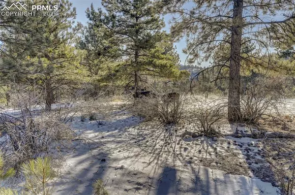 226 Arapahoe DR, Florissant, CO 80816