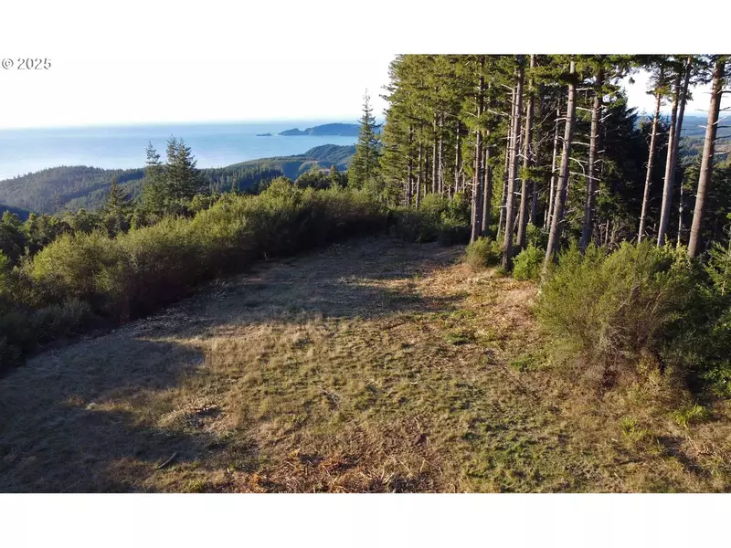 0 China Mountain RD, Port Orford, OR 97465