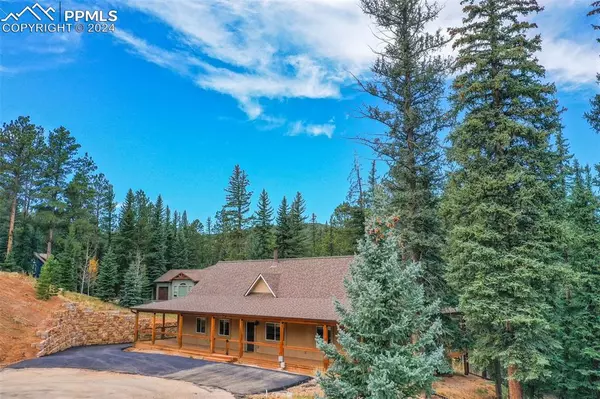 Woodland Park, CO 80863,250 Iron Eagle PT