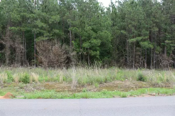 Plain Dealing, LA 71064,0 Mott Road