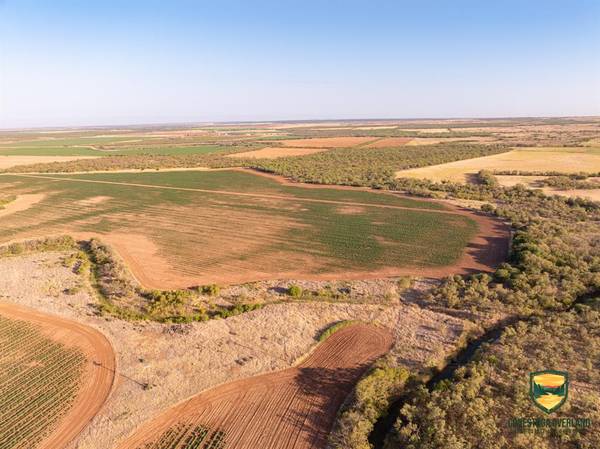 TBD County Road 158, Sylvester, TX 79560