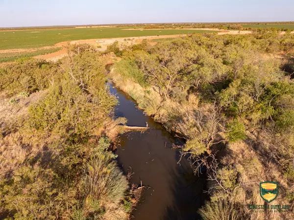 Sylvester, TX 79560,TBD County Road 158