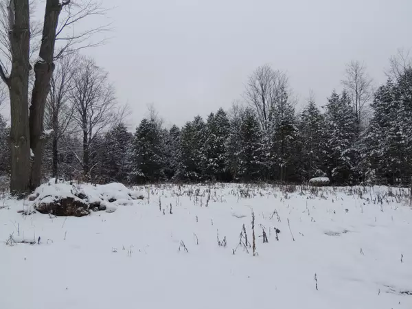 Grey Highlands, ON N0C 1E0,00000 PENNY LN