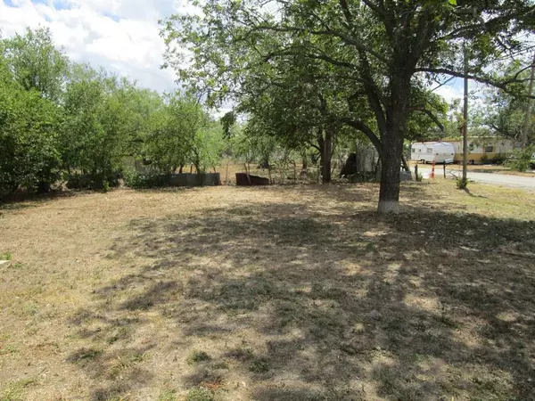 Coleman, TX 76834,217 W 13th Street