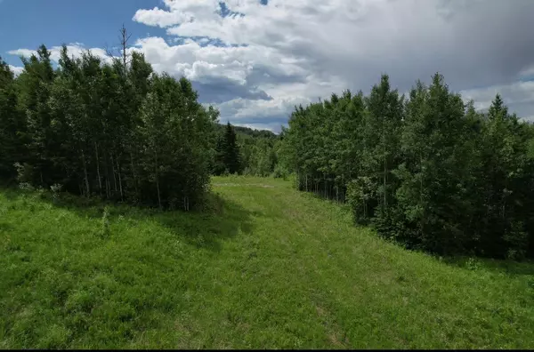 Rural Woodlands County, AB T7S 1N3,20, Township Road 583