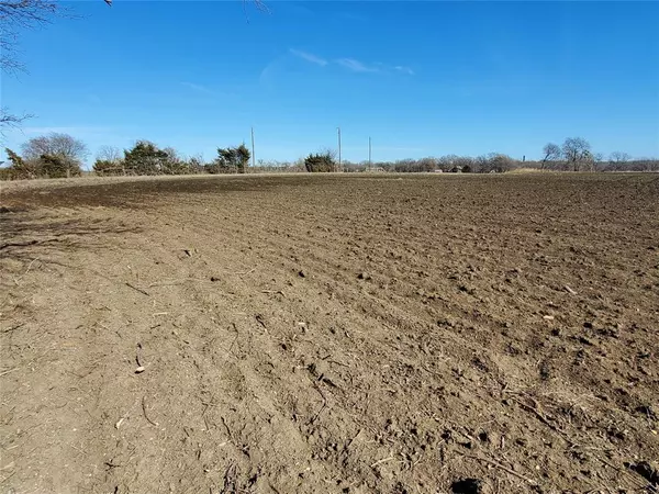 Leonard, TX 75452,TBD County Road 4665