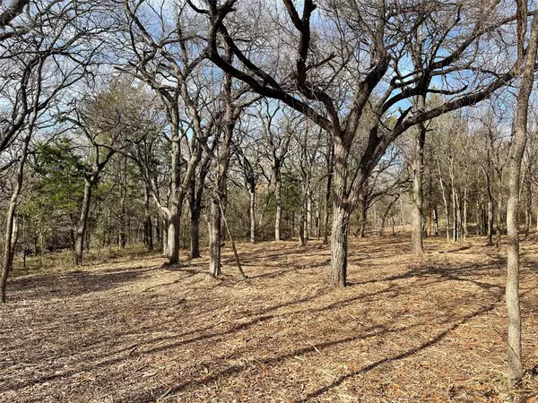 Covington, TX 76636,TBD 3.9 Acres Barron Road