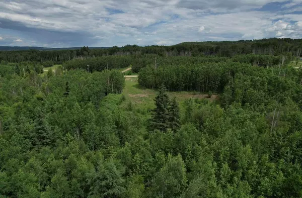 20, Township Road 583, Rural Woodlands County, AB T7S 1N3