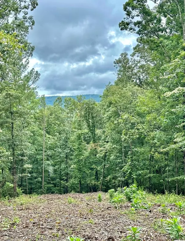 Lot 315 Pebble Trace, Talking Rock, GA 30175